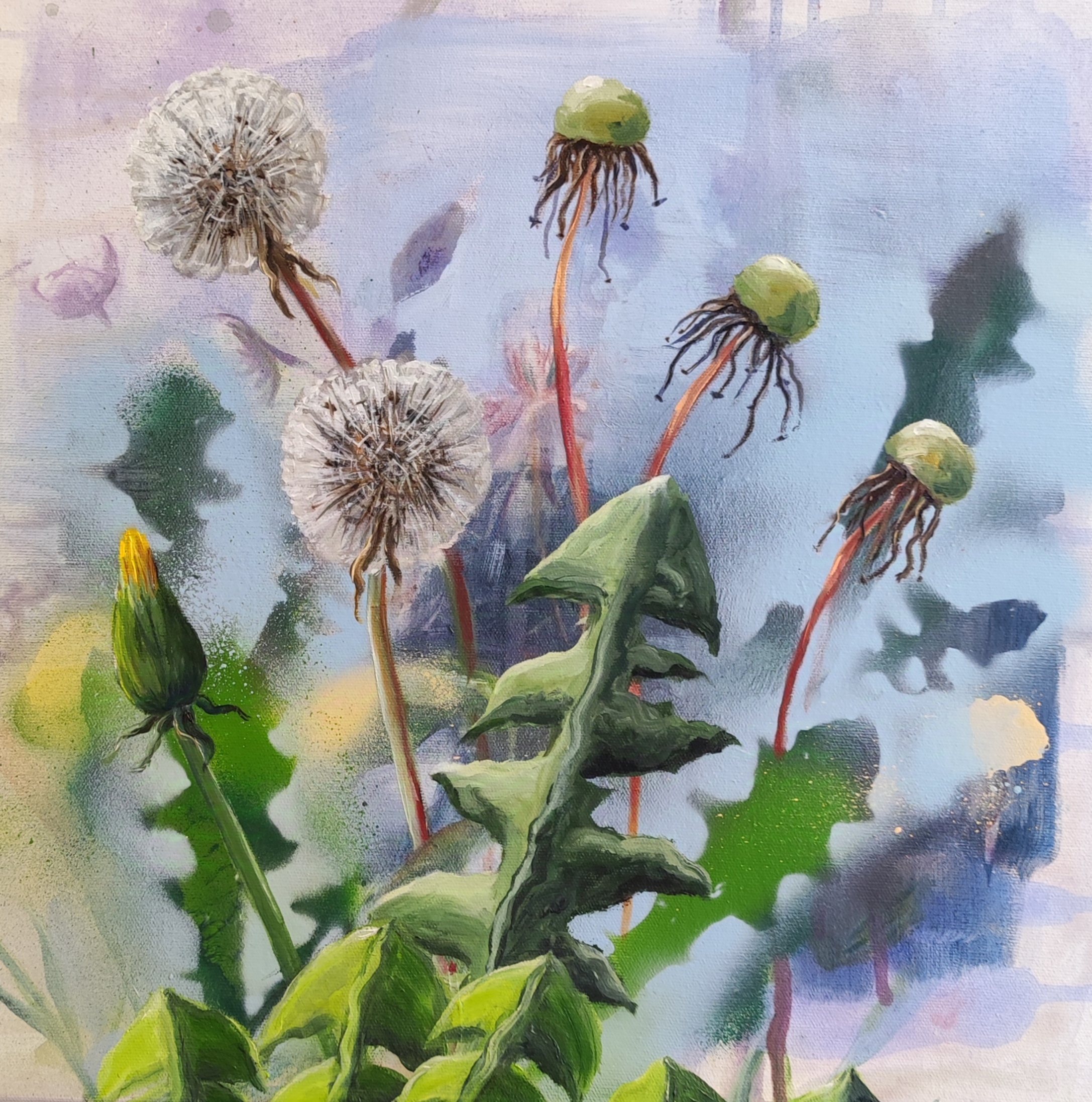 Dandelion 2, 40x40cm, Mixed media on canvas